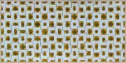 Manifold Series-Calcimine